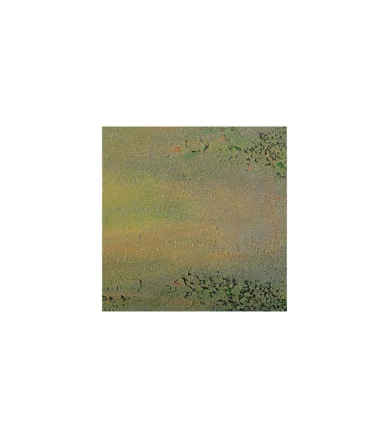 დეკორატიული საღებავი NIPPONTRAVERTA 25კგ